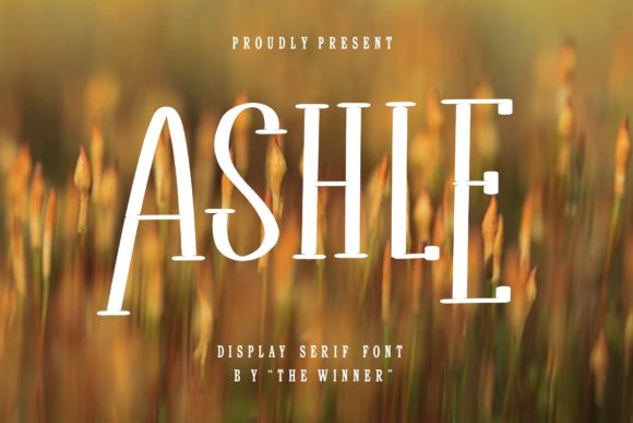 Ashle Serif Font for Scroll-Stopping Brand Visuals