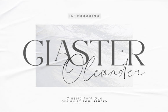 Claster Oleander Font: A Branding Upgrade
